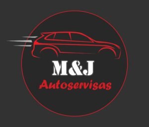 Mjservisas 300x257